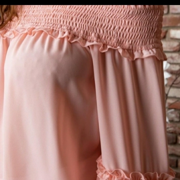 Ruffled Bell Sleeved Blush Top - Picture 5 of 5